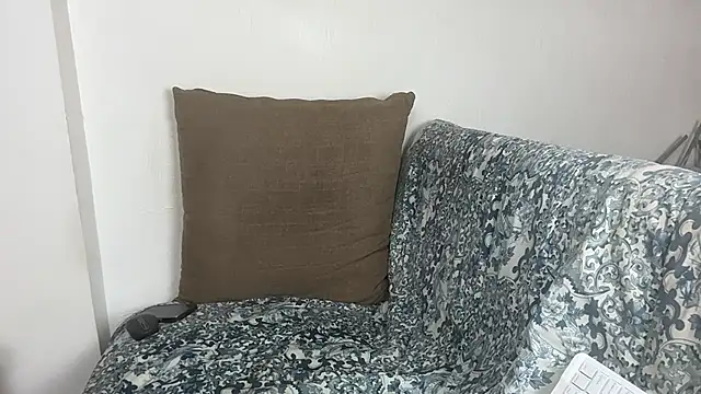 velvetvista webcam