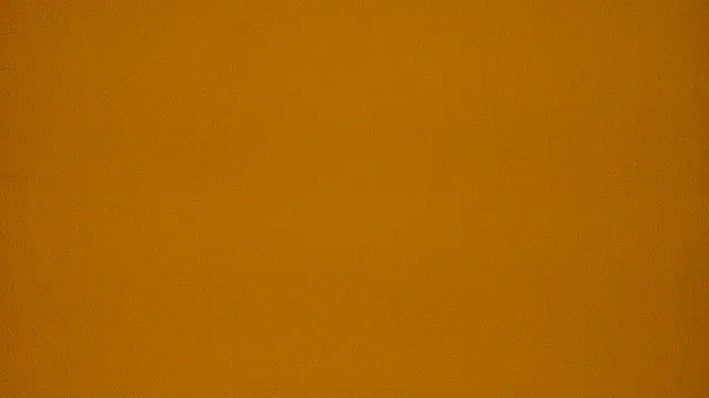 littilebutcute webcam