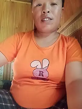 Ip34 webcam