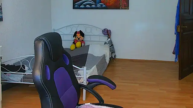 Sylly webcam