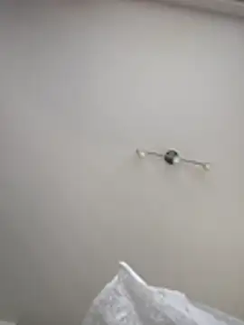 kotkite webcam