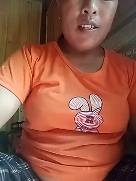Ip34 webcam