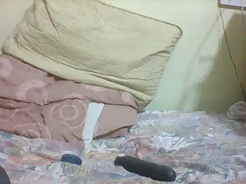 mislover webcam
