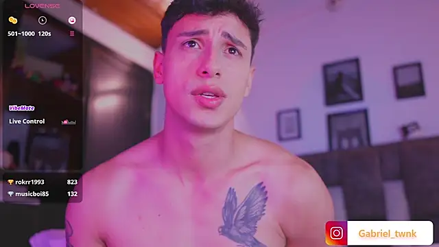 I_Gabriel webcam