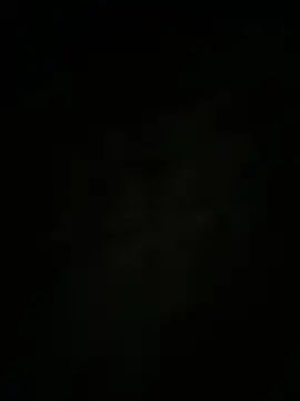 auds08 webcam