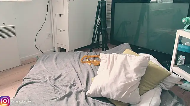 CeriseLapine webcam