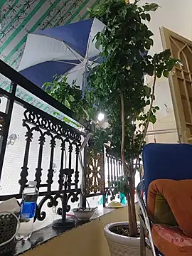 lyna_bl webcam