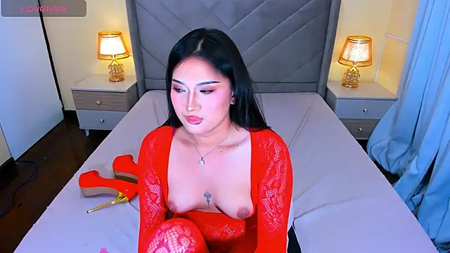 PereyLierge webcam