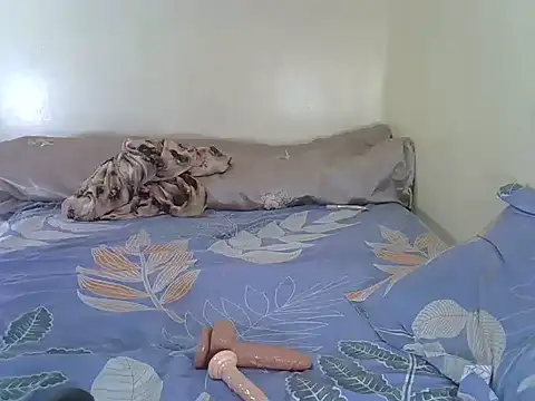 Jellyass21 webcam