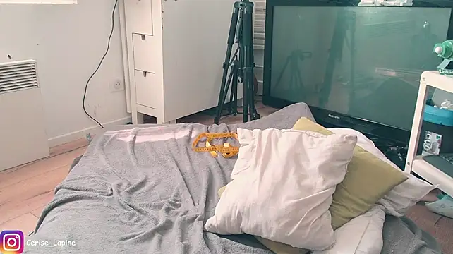 CeriseLapine webcam