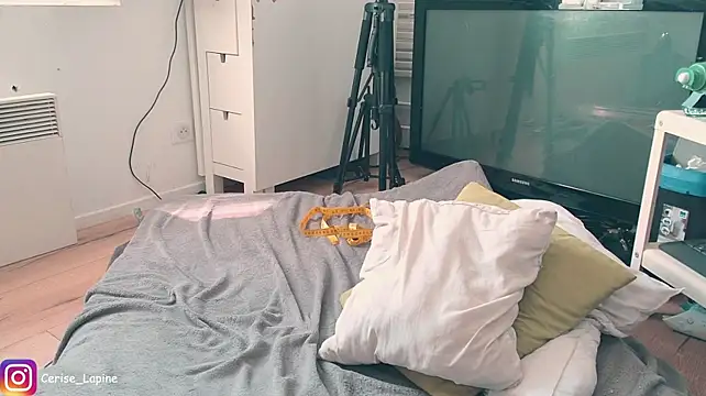 CeriseLapine webcam