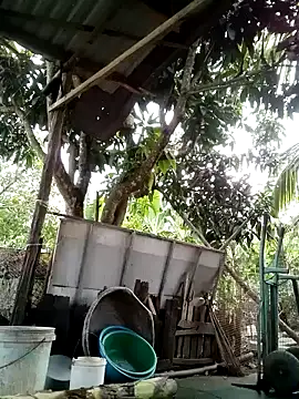 BigAss-69 webcam