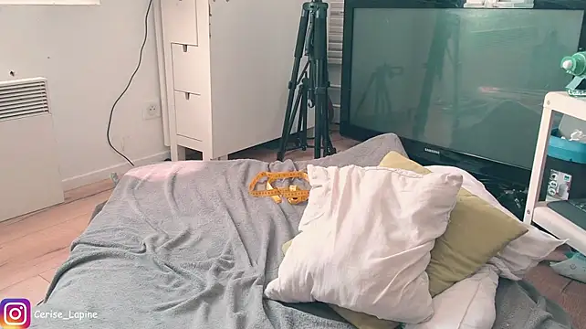 CeriseLapine webcam