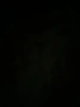 auds08 webcam
