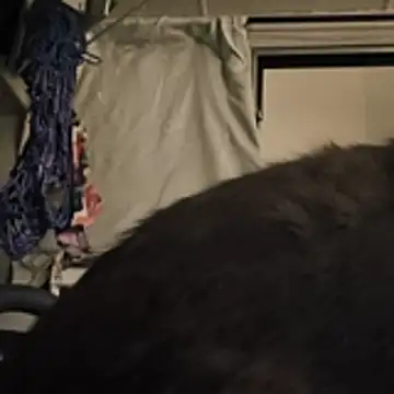 SexyB214 webcam