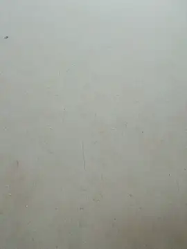 Baoduyen456789 webcam