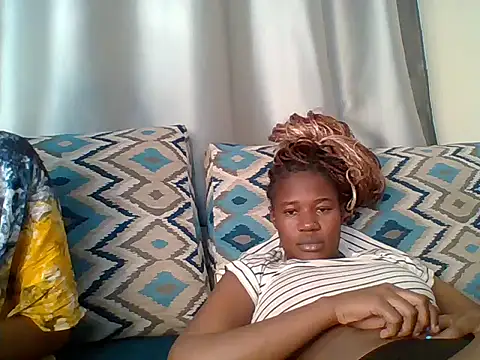 Fries20 webcam