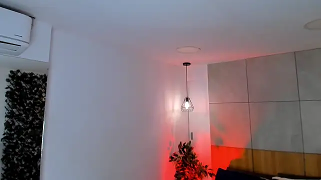 B_Wild webcam