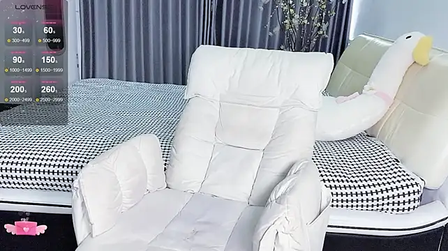 Lda- webcam