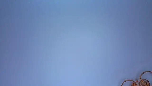 PerryKitty live webcam