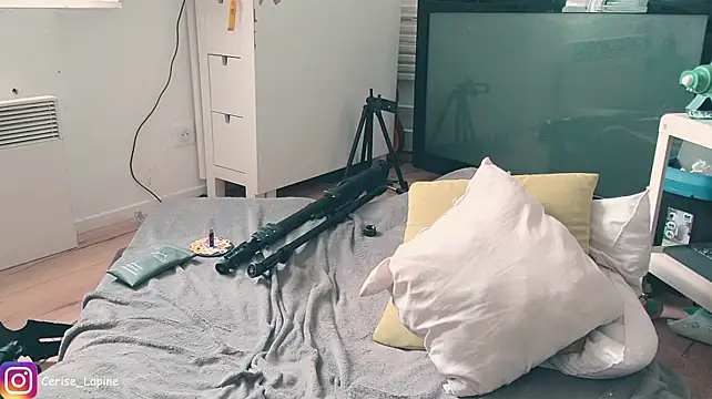 CeriseLapine webcam