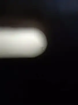kotkite webcam