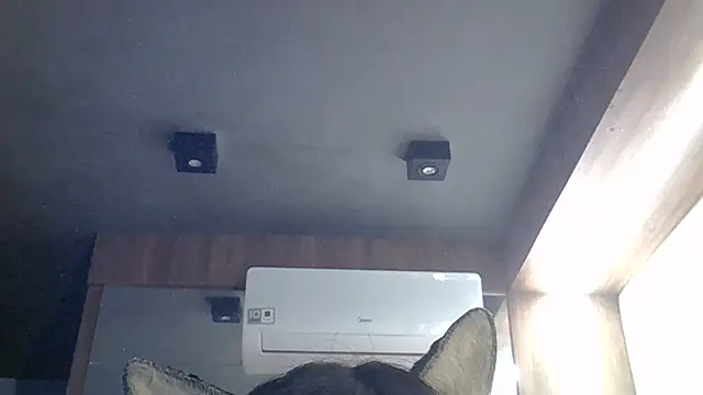 SkinnyKitten webcam