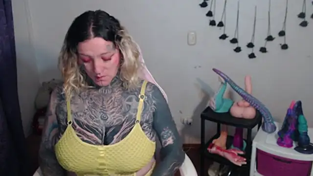 SLOPPYTITSS webcam