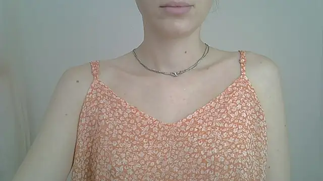 ViraVrema webcam
