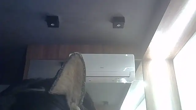 SkinnyKitten live cam on StripChat