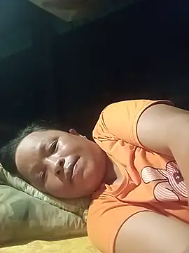 Ip34 webcam