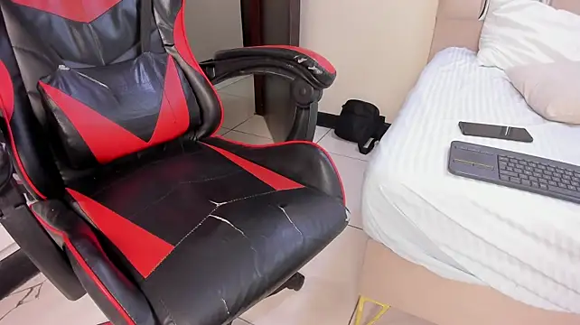 LeoDrake_ webcam