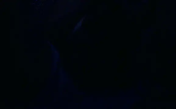 Oynyx webcam