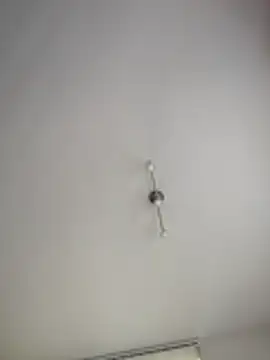 kotkite webcam