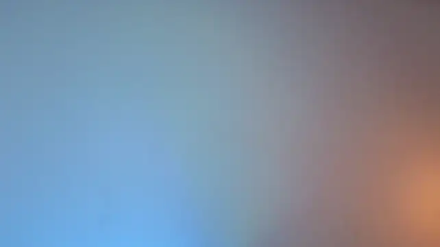 lian_cameron webcam