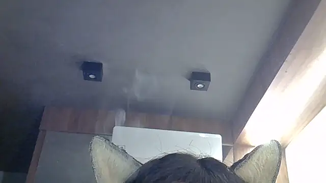 SkinnyKitten webcam