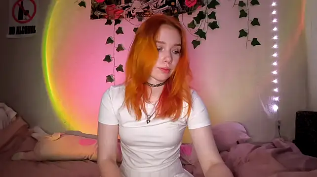 EngelFlood webcam
