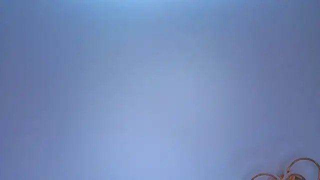 PerryKitty live webcam