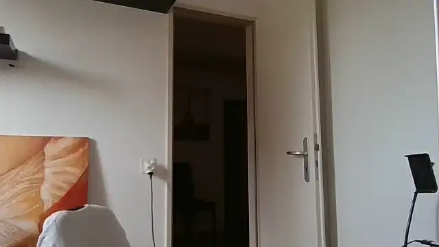alpha-hunk webcam