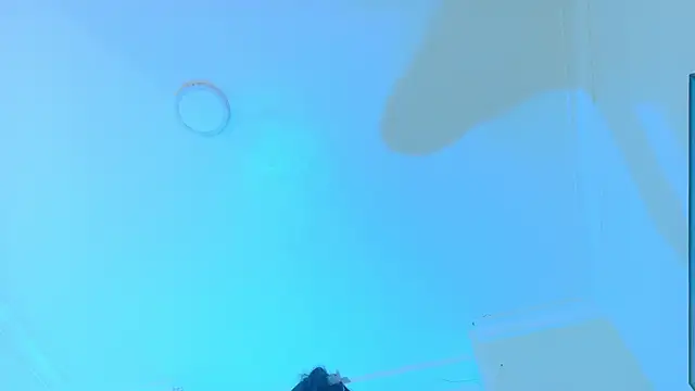 LexaDominant__ live cam on StripChat