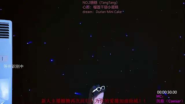 CCTW-100 webcam