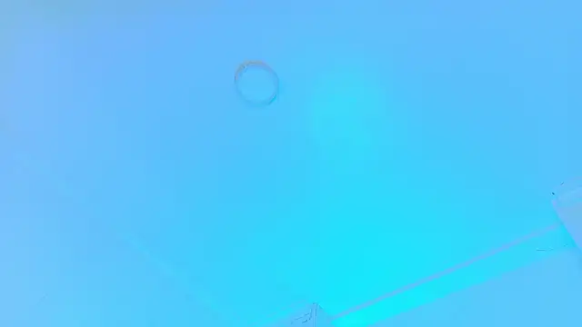 LexaDominant__ webcam