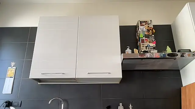 theitalianbear webcam