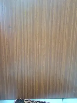 Teri_lella