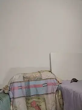 w571691 webcam
