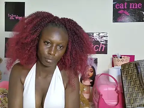 Aria_ah webcam