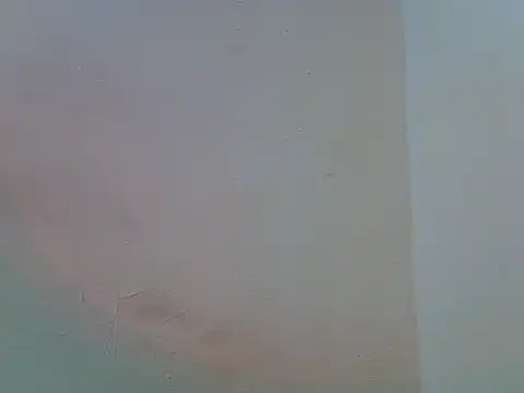 ebony_petite9