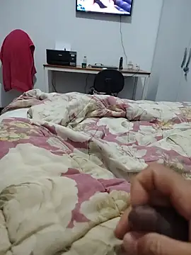 Willdpo webcam
