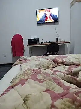 Willdpo webcam