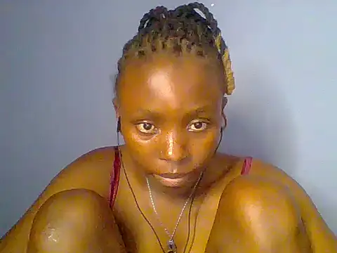 Chocolate-brownie webcam